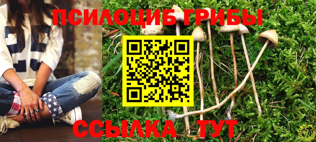 Галлюциногенные грибы Psilocybine cubensis  Галлюциногенные грибы GOLDEN TEACHER  сколько стоит  Вход с VPN  Люберцы 