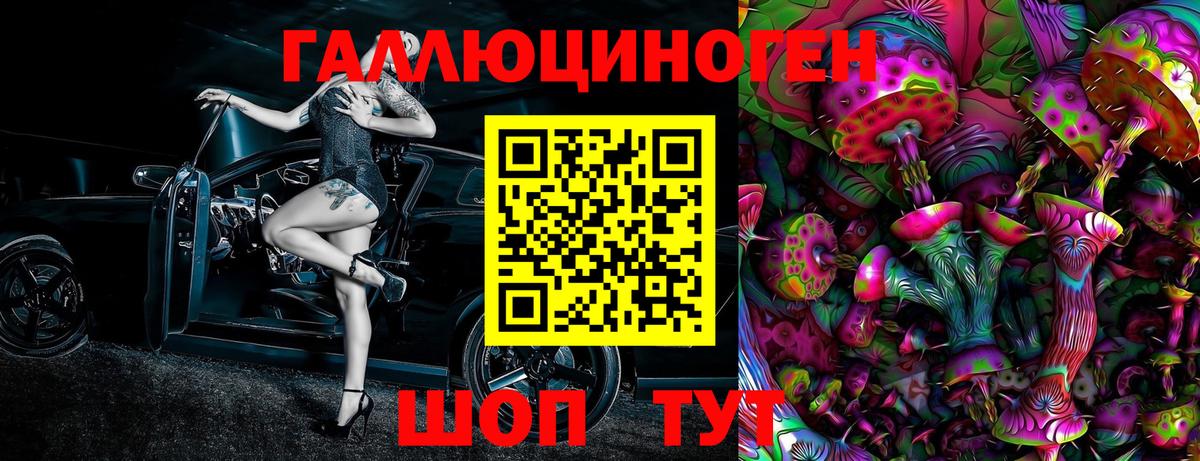 Псилоцибиновые грибы Psilocybe Люберцы